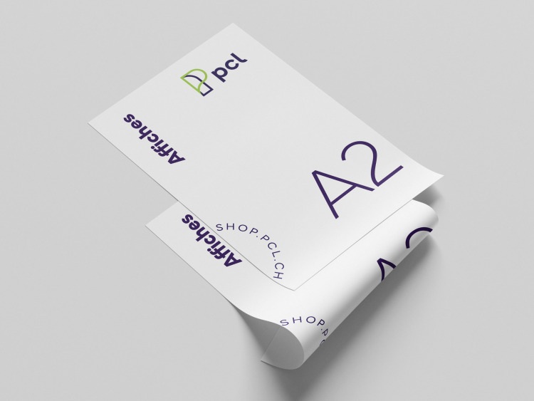 A2 (420x594 mm)