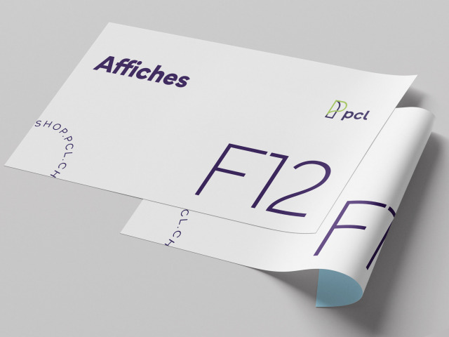 F12 2685x1280 mm